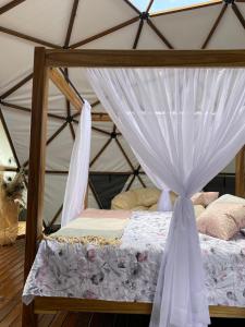 Glamping en Morelia