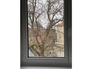 Am neues Museum Comfortable holiday residence