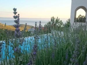 8910 Comfortable holiday residence