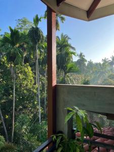 Tropical Vibes - Kathaluwa