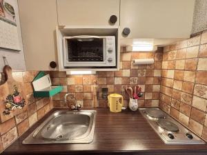 Appartements Studio cabine cosy avec jardin privatif a Praz-Sur-Arly - FR-1-603-110 : photos des chambres