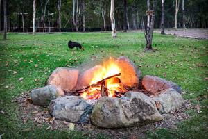 Airlie Beach Eco Cabins - Adults Only