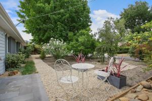 Studio at Marshmallow