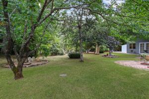 Studio at Marshmallow