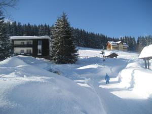 Pensionas Penzion U Sochoru Pecas prie Snežkos Čekija