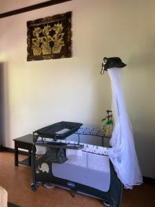 Badini Homestay Pemuteran Bali