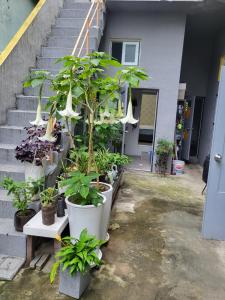 JUN house - Foreign Only