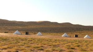 Stargaze Camp