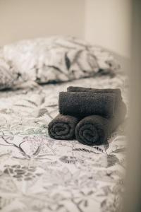 Appartements L-Atelier Cosy : photos des chambres