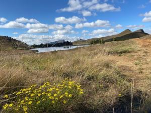 Pear Tree Cottage-Underberg