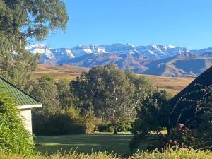 Pear Tree Cottage-Underberg