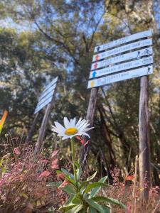 Pear Tree Cottage-Underberg