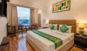 Treebo Sparkle Near Metro Mall - Zirakpur