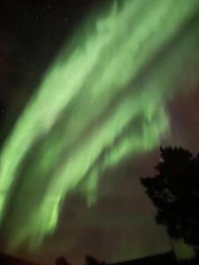 Aurora borealis Tromso