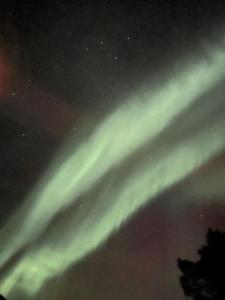 Aurora borealis Tromso