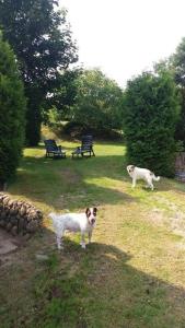 Ferienhaus "Schwarz"