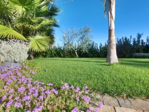 Malia Holiday Villa