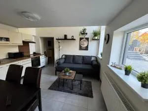 apartman 50m2 garden parking Free - Nehvizdy