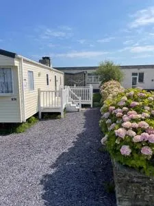 Sandydaze - 圣梅尔林