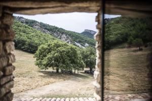 Maisons d'hotes Le Domaine du Castellas : photos des chambres