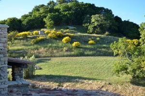 Maisons d'hotes Le Domaine du Castellas : photos des chambres