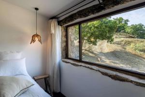 Maisons d'hotes Le Domaine du Castellas : photos des chambres