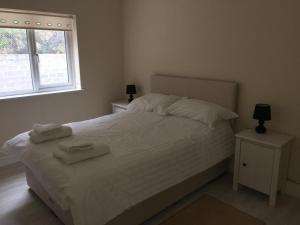 Bluebird 2-Bed Apt Sleeps 4 in Carmarthenshire