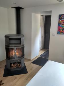 Appartements Gite des Ecureuils : photos des chambres