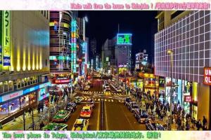 D11新宿中心 超级商圈 交通枢纽 4条线路 车站8分钟 Shinjuku center 8 mins to ST 直达新宿 涉谷 表参道 品川 池袋 上野 代代木 银座 原宿