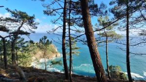 Chalets Le Tipi Bleu TINY HOUSE neuve avec terrasse et jardin : photos des chambres