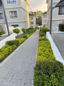 Micasa apartments