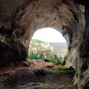 Campings Les nids de Bonnan : photos des chambres