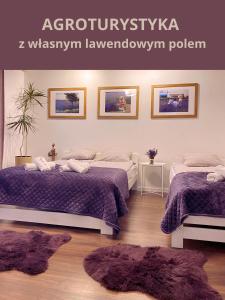 Lawendowa Przystań Sandomierska