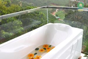 Midori Heritage Coffee Farm