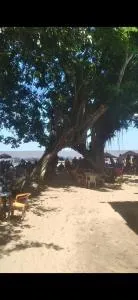 Chalé do marujus - Tapanã