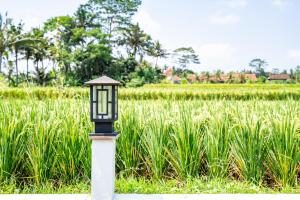 Aura Apartments Ubud - New Years Offer