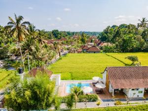 Aura Apartments Ubud - New Years Offer