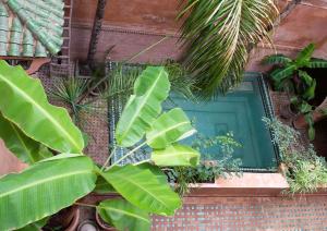 Riad Amirat Al Jamal