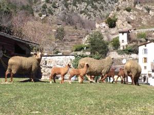 Maisons de vacances La Maison du Fenil de Tende Vallee des Merveilles : photos des chambres