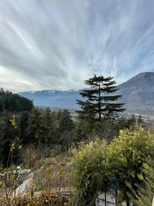 Kutumb Homestay Naggar