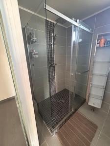 Appartements Bel appartement proche plages et hopital St Musse : photos des chambres