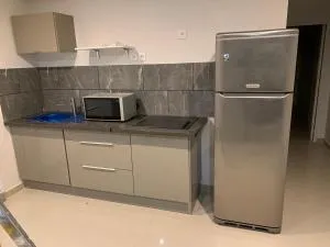 Agréable appartement 2 pièces - 埃尔布莱