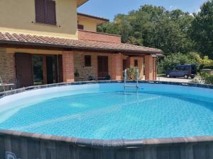 Il boschetto da Michael -nocciolo