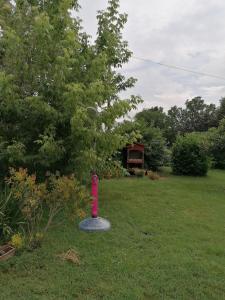 Il boschetto da Michael -nocciolo