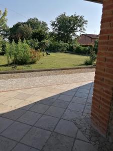 Il boschetto da Michael -nocciolo