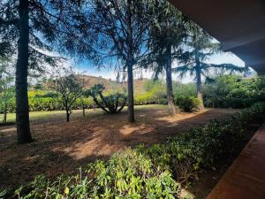 Sicily in Love - Rooms and Apartment - Pedara Catania Etna