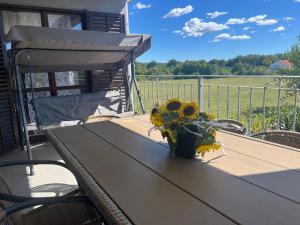 Apartment Šterna in Svetvincenat