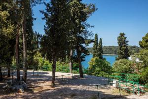 Porton Nature Hideouts Pitches 