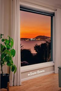 Serene Oceana - Savoring the gentle Tassie breeze