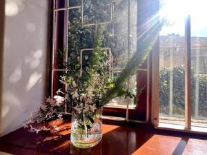 Serene Garden Retreat with Pool & Mountain Views